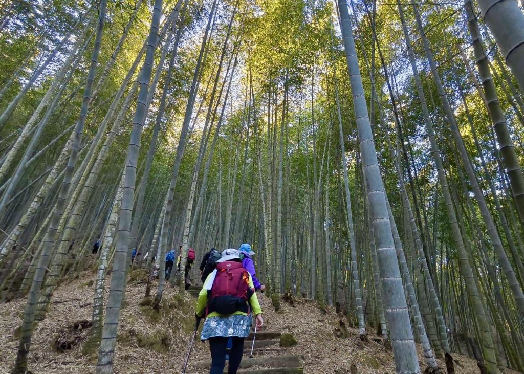 九穹神木 左訪嘉南雲峰 右到好望角看風景上石壁山(小百岳#55)_2944801