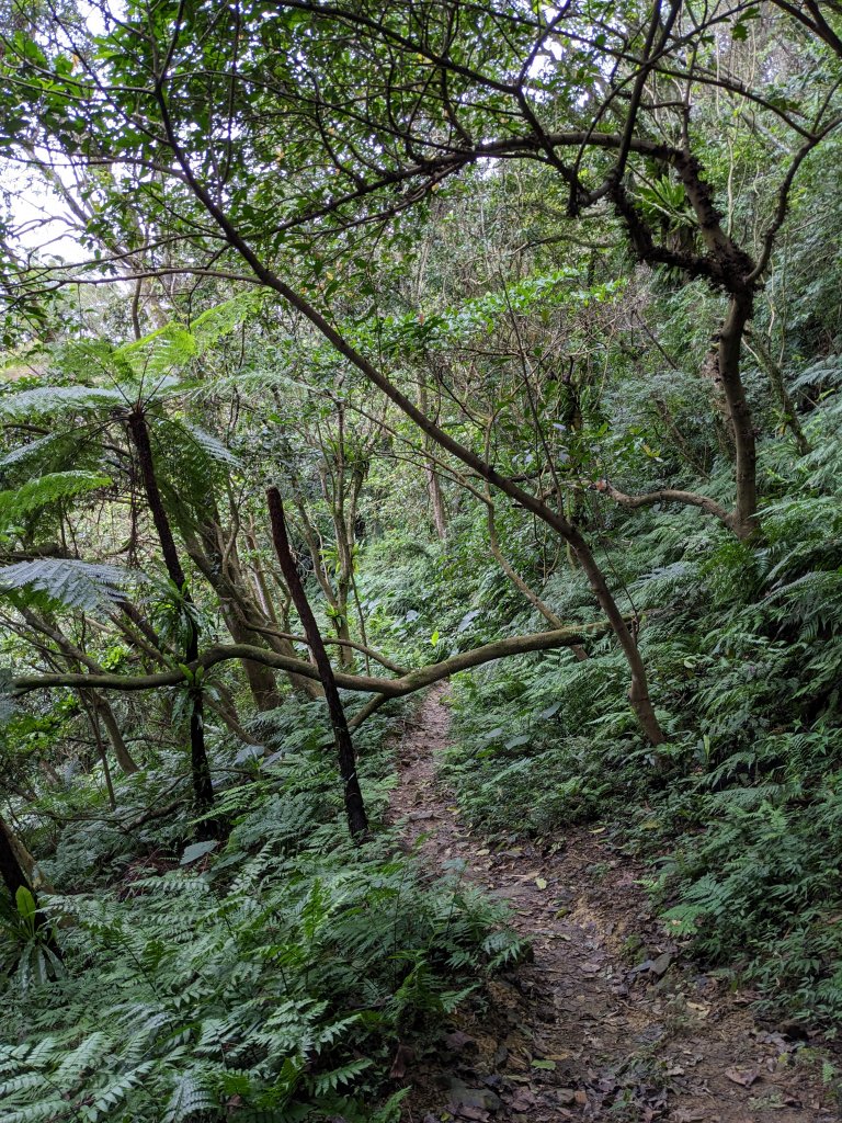 鵝角格東峰 鵝角格山 六分山 四面頭山 貓空尖 十六分山 三玄宮山_2006116