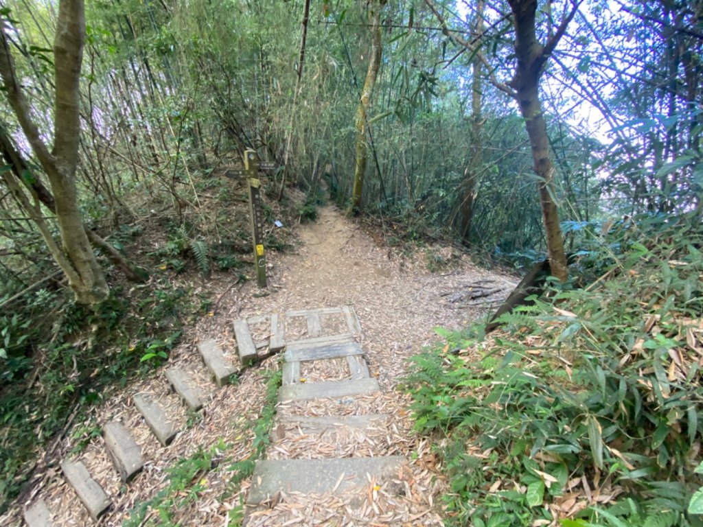 雲嘉八連峰-樟腦寮到福華宮_1921837