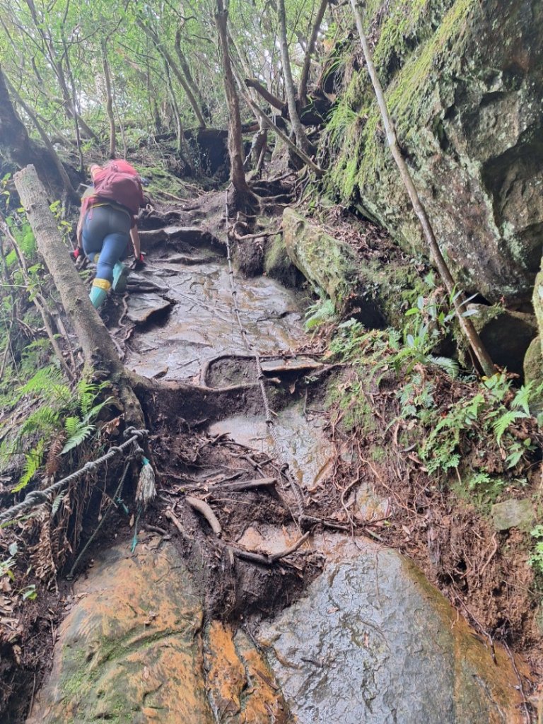 嘎色鬧上那結山_2575551