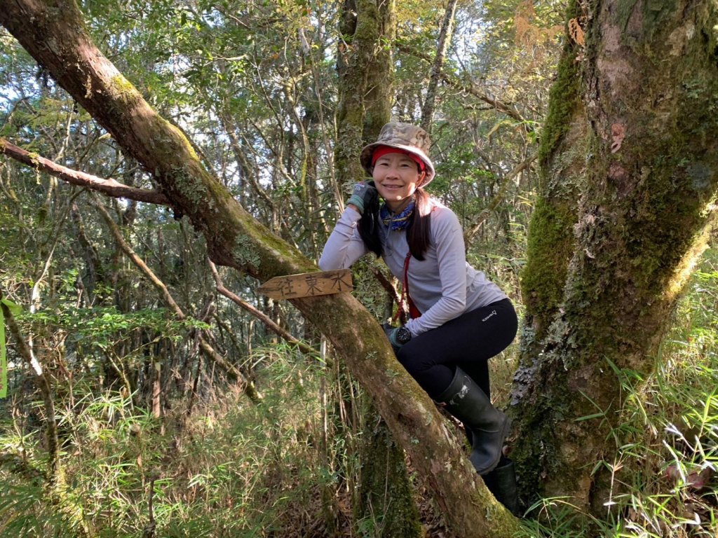探訪消失的白雪村+北霞山東水兒玉山O型縱走_1991271