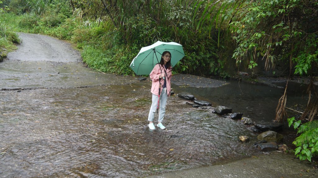 古魯林道登山健行趣(步道)封面圖