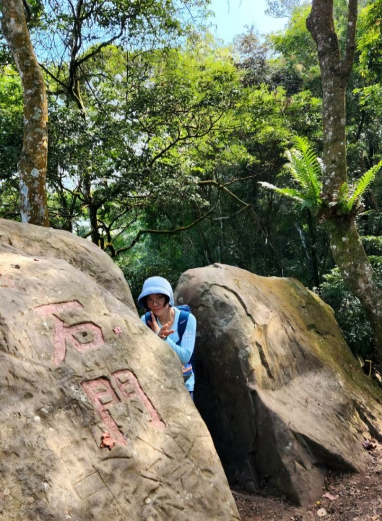 【中級山 】楓紅古戰場，馬那邦山_2741990