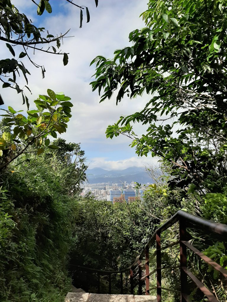 虎、豹、獅、象、九五峰、南港山、拇指山_1145206