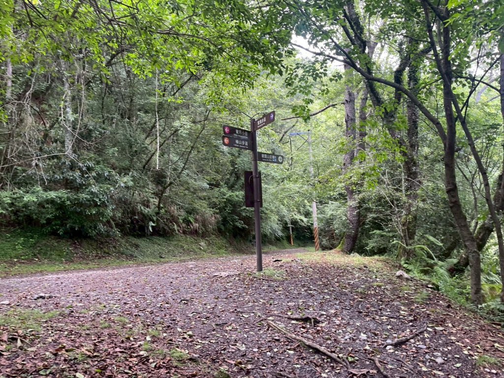 新竹 五峰 觀霧國家森林遊樂區 觀霧瀑布步道+賞鳥步道_2811438