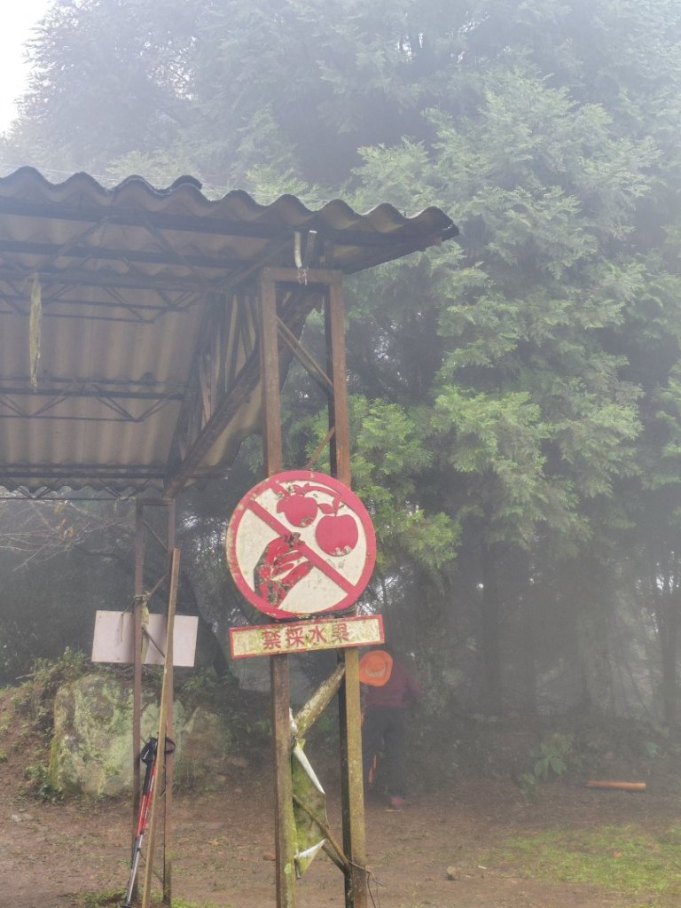 馬那邦山_2974982