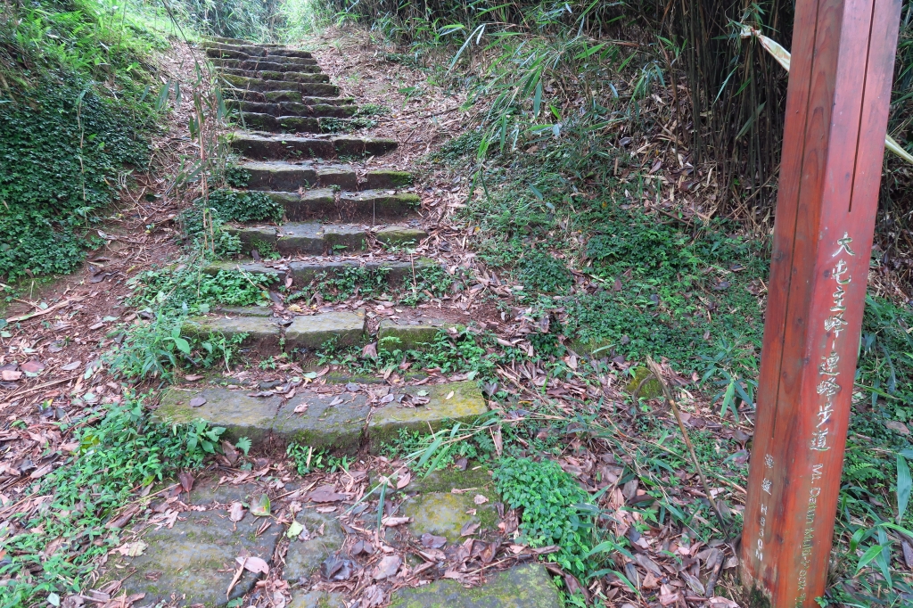 大屯山連峰步道連走二子坪_43935