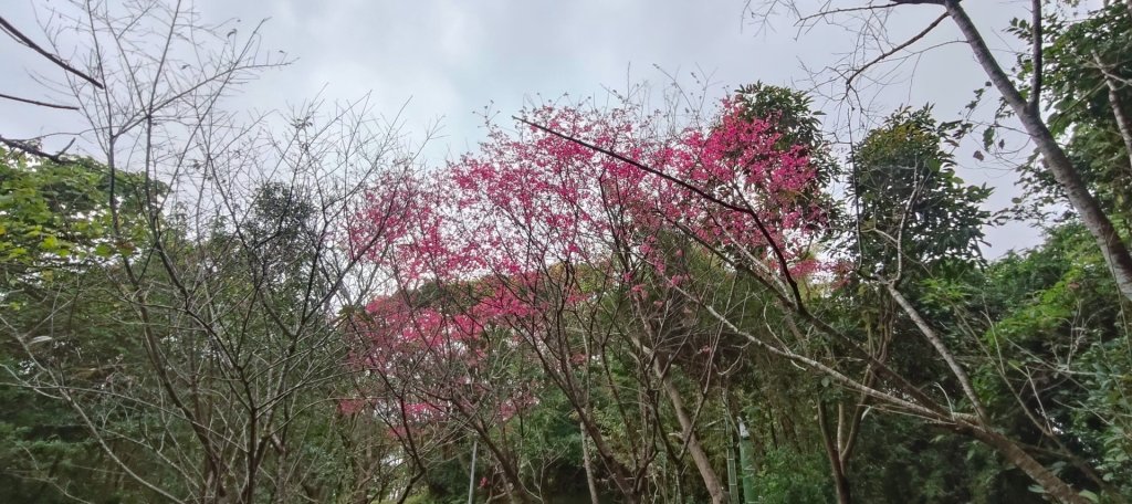 福州山公園_3002494