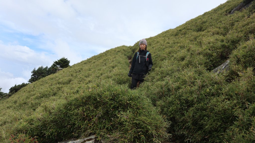 奇萊主山登山健行趣(百岳20號)_2290014