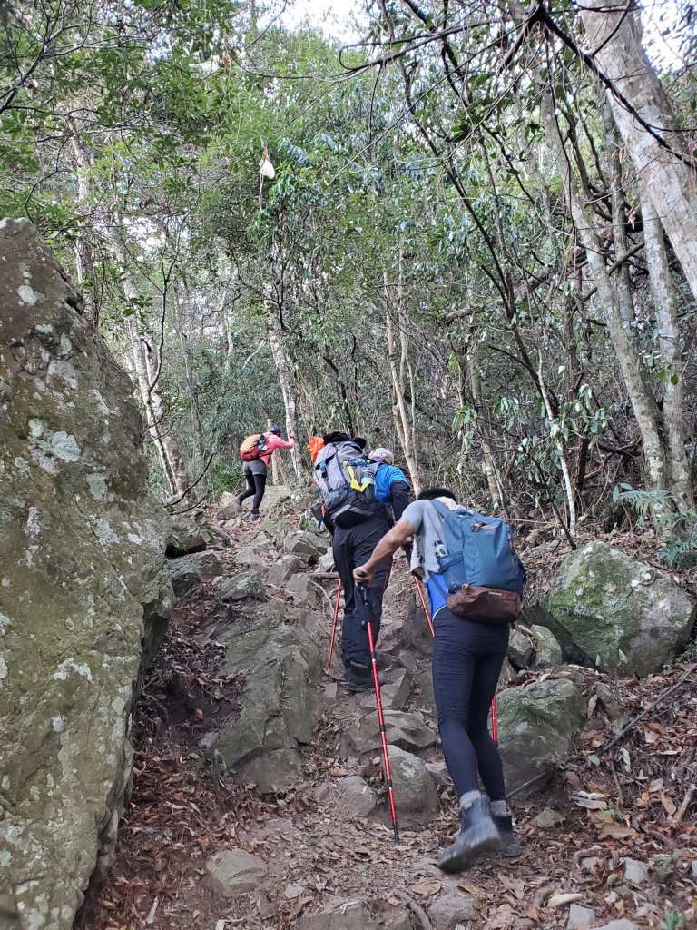 八仙山松鶴線_1170278