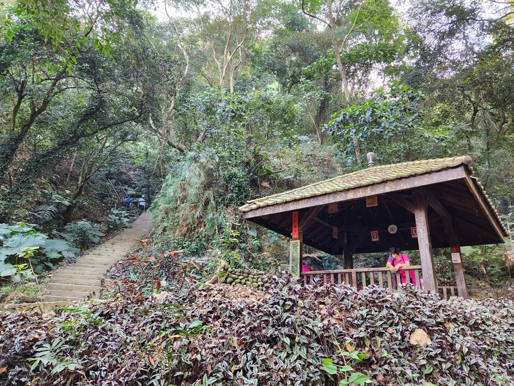 【彰化清水巖】十八彎古道連走擎天崗(中央嶺步道)_2038019