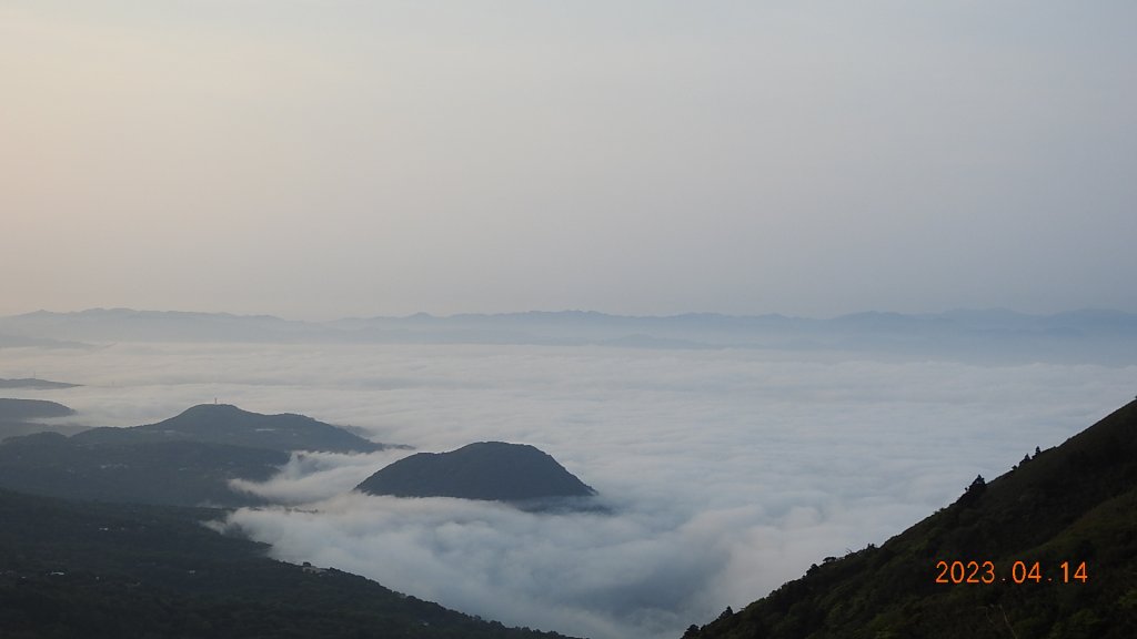 邂逅江湖傳說已久鐘萼木(據說冰河孓遺植物)，再見差強人意的月光/日出雲海_2112382