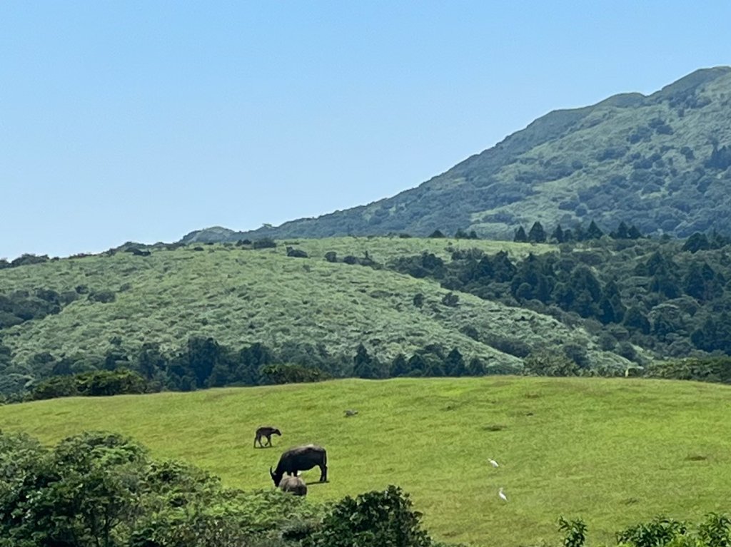 台北 陽明山 絹絲瀑布-擎天崗_2722154