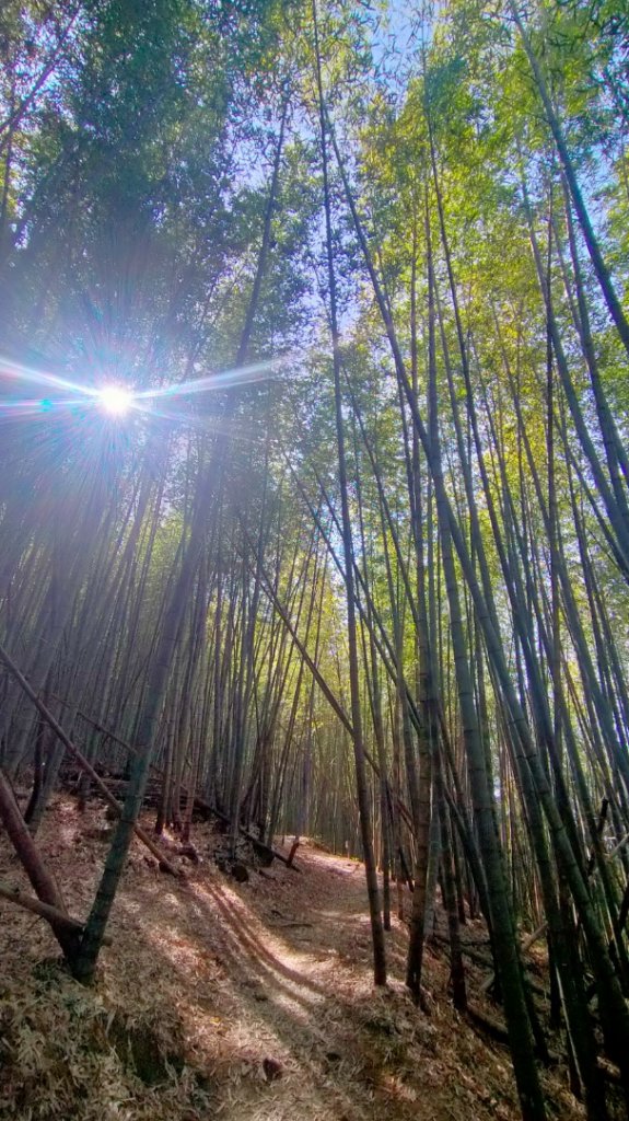瑞太古道/奮瑞古道/雲仔山/糕仔崁古道/奮起湖 縱走_1639048