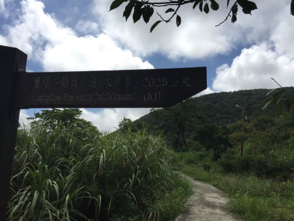 萬里長堤-古道之行（鹿堀坪大草原）_405047