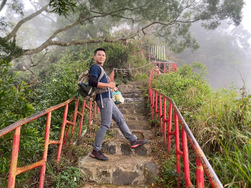 田中森林步道.赤水崎步道.龍過脈步道【都是友善石虎的好地方!!】封面圖