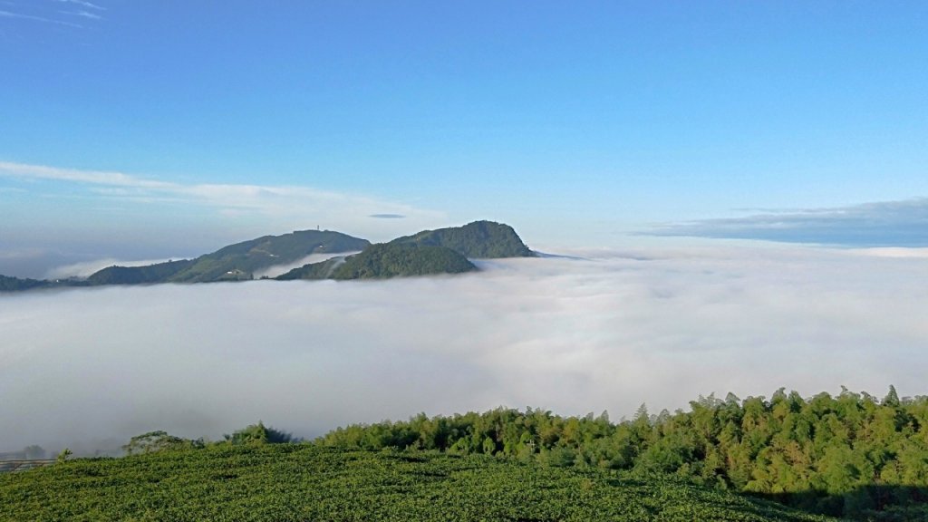 【巃頭-龍銀山天氣】阿里山日出私房秘境_691545