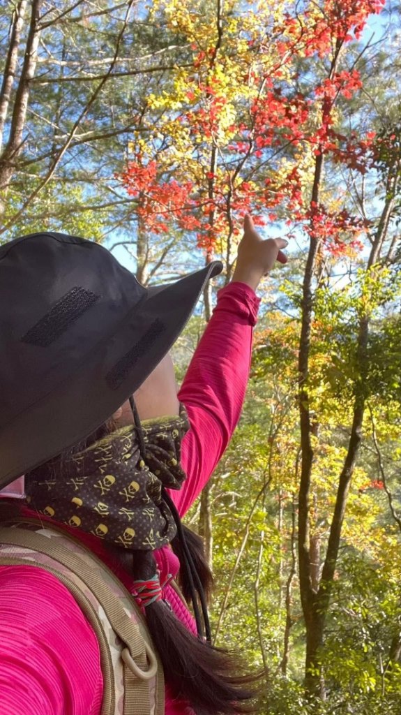 2022霞喀羅古道精華段/養老-白石吊橋賞🍁楓趣_1970434