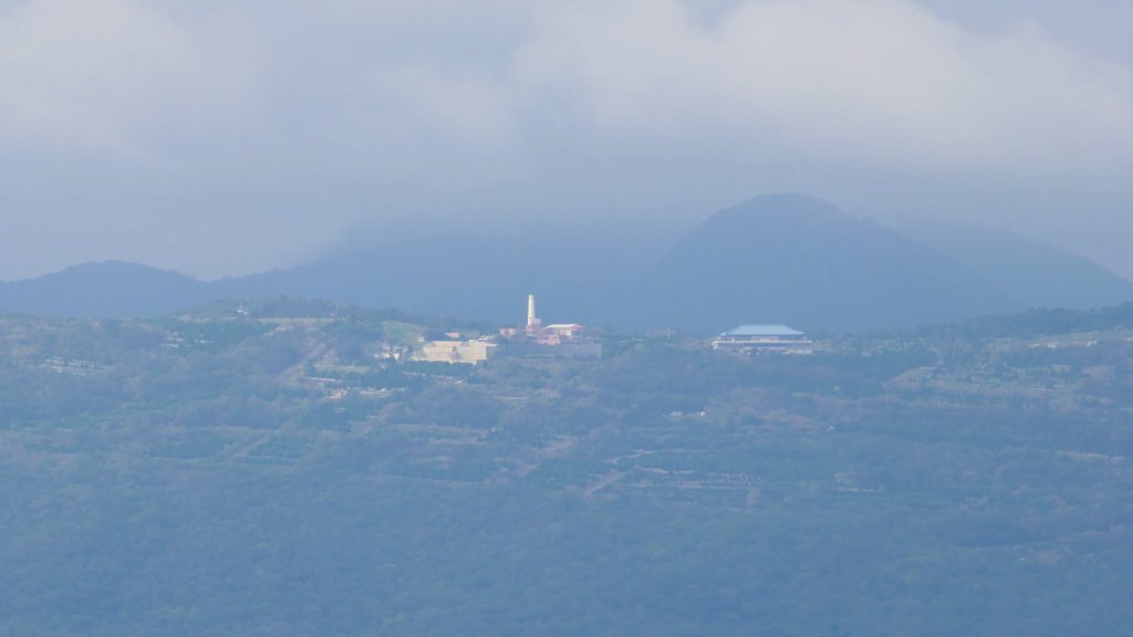 這裡怎麼有兔子還有藍腹鷴?_2663302