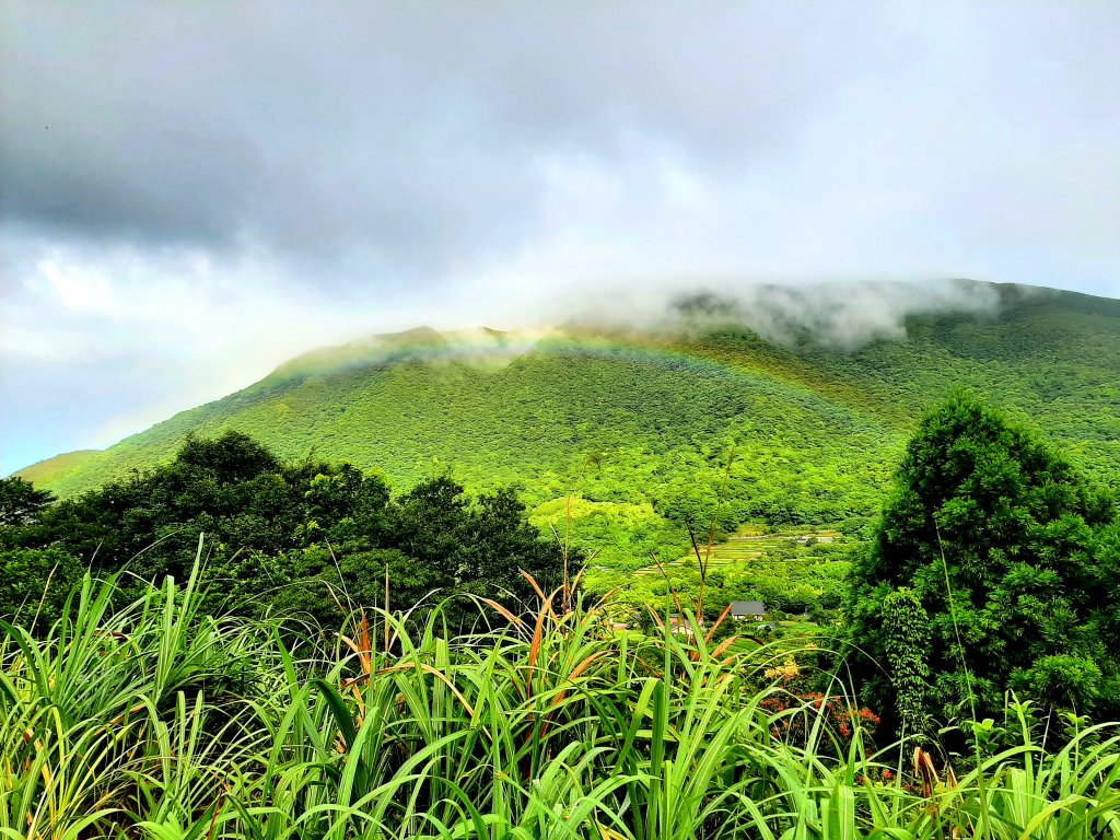 臺北大縱走1：森之光影_1785784