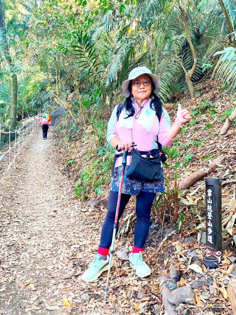 雪山坑登山步道尋巨人_2978288