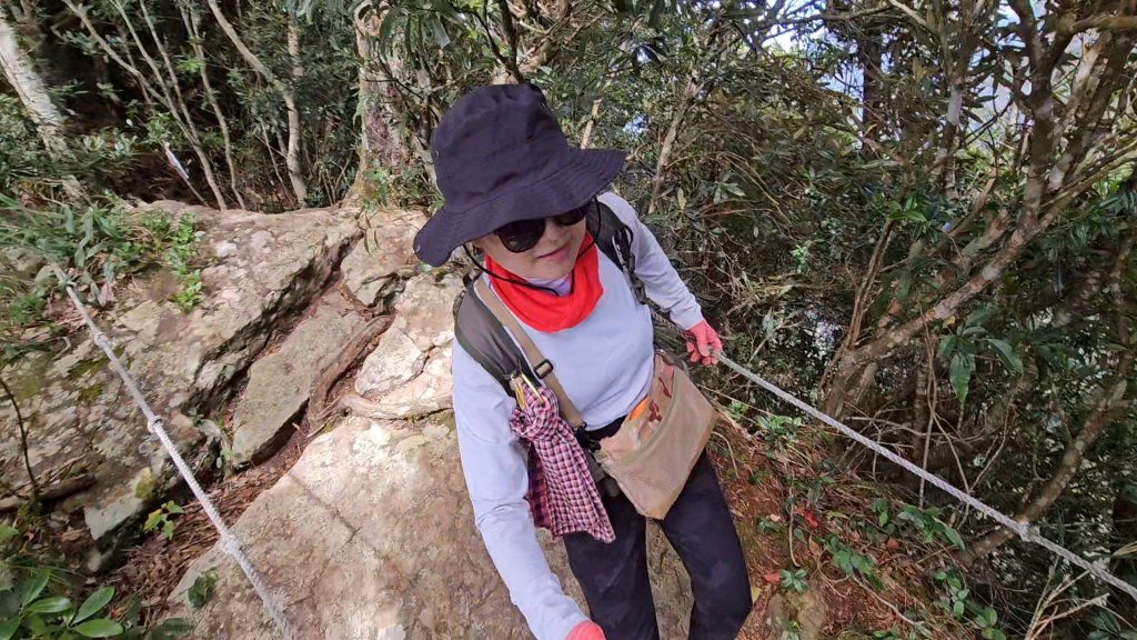 復興三尖之夫婦山_2356703