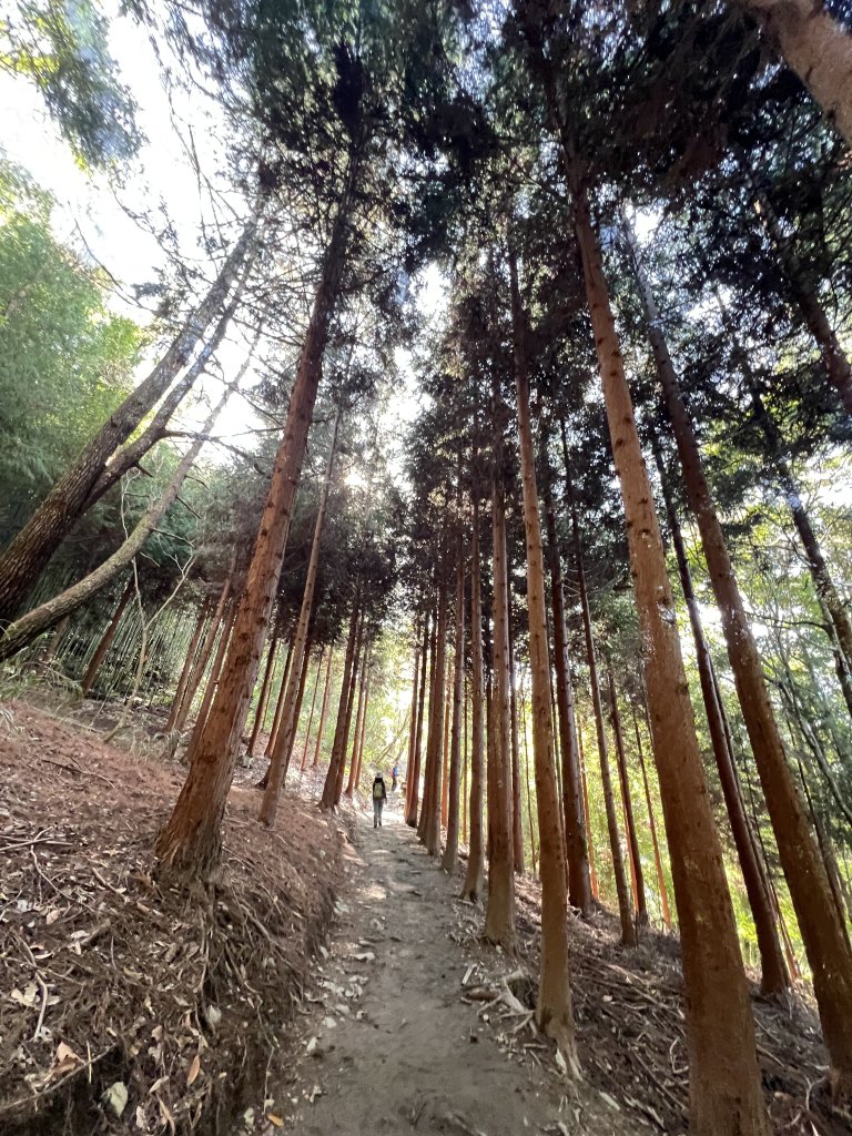 ~ 上帝的部落 - 司馬庫斯 ~_3023510