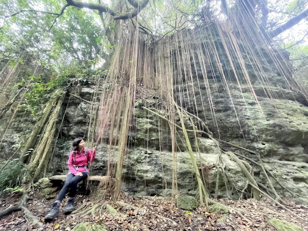 柴山的山與海封面圖