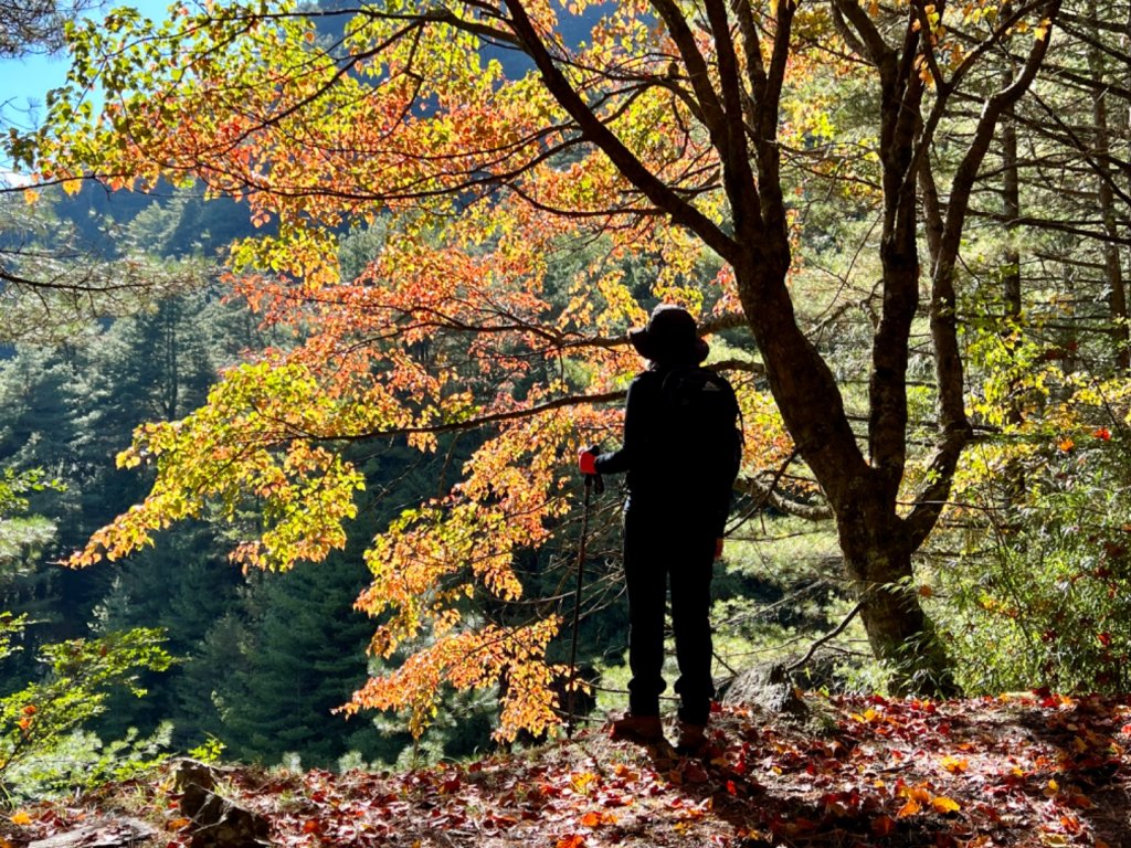 楓紅健走北三錐山封面圖