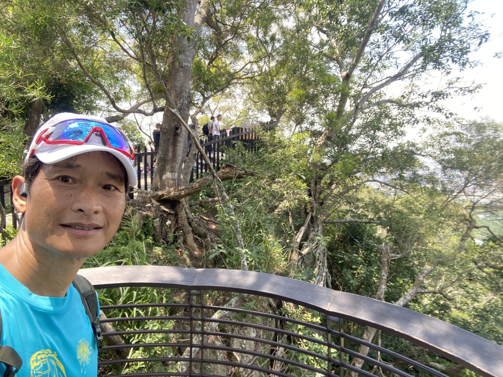 《夏日大坑同行記｜10號步道登稜線，與家人感受山風與人情味》_2926349