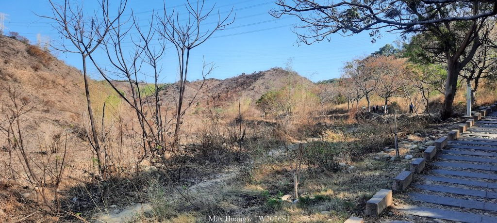 《台中》短暫暖陽｜龍井竹坑南寮步道O繞20260104_2976410