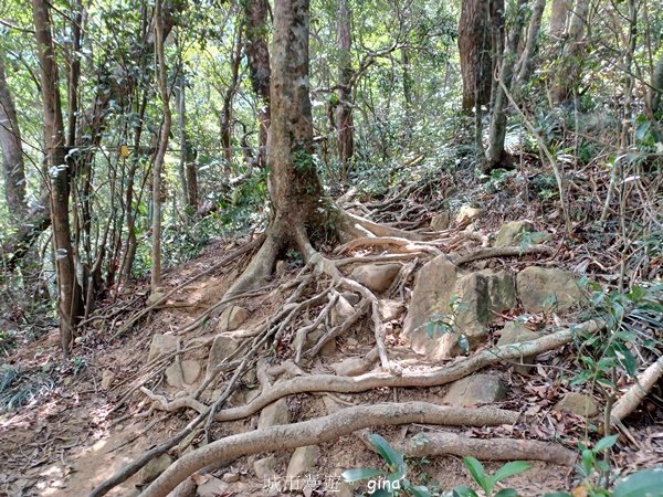 【屏東獅子鄉】海天一色。 台灣百大必訪步道~里龍山自然步道_2550784