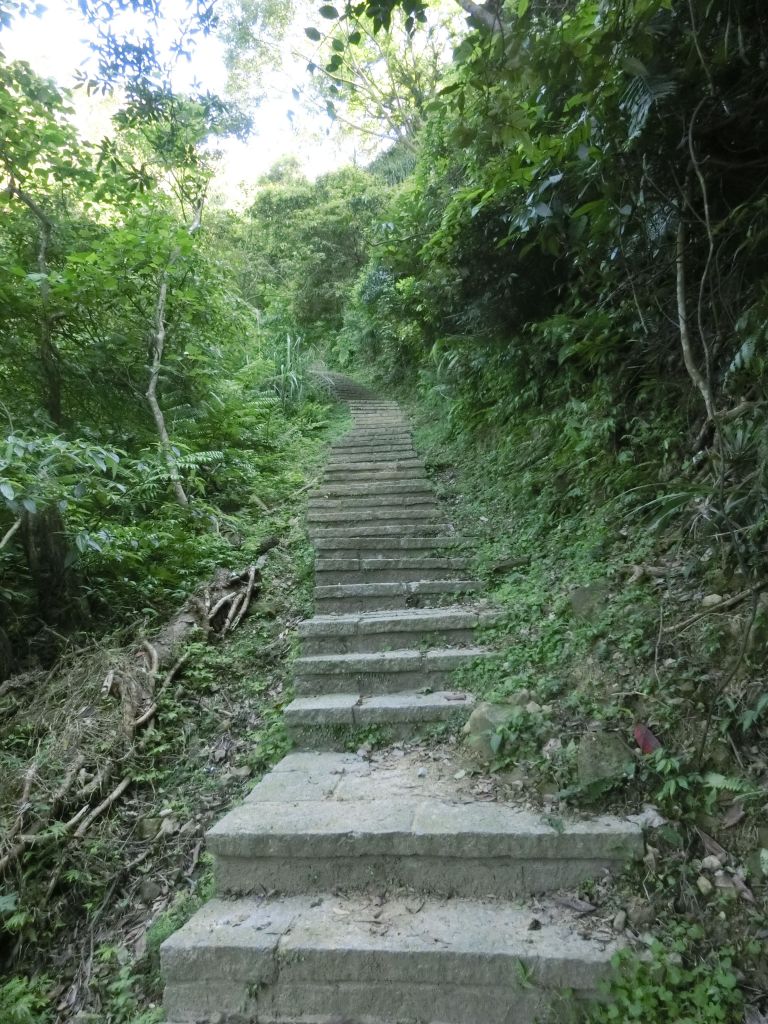 土庫岳．栳寮古道．更寮古道_120748