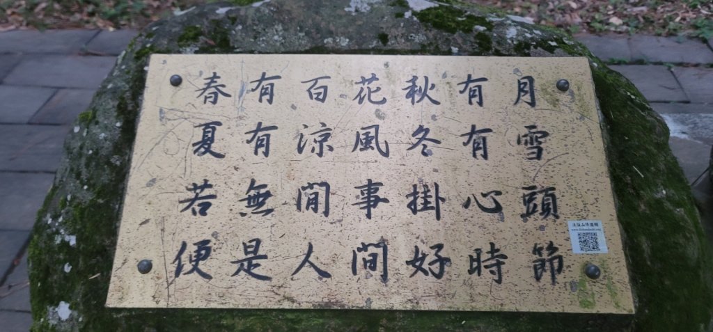 2022森遊竹縣 皮皮獅同樂會 029 獅山古道 20220723_1789772