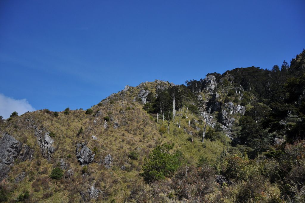 玉山前峰傷痕累累行_107324