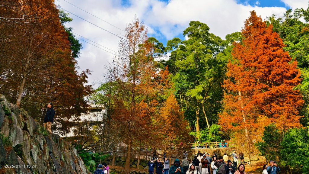 #花卉試驗中心 #永公路500巷 #平菁街42巷 #原住民公園 #士林官邸 1/4_2980396
