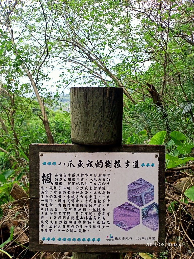 【臺北大縱走 1、走路趣尋寶】北投清天宮→下青礐步道→貴子坑步道→小坪頂路→忠義山步道→捷運關渡站_2244765