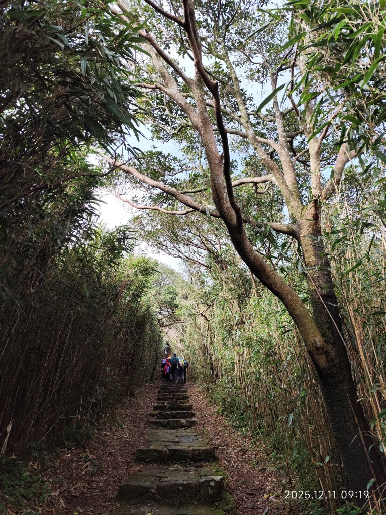 【臺北大縱走 2】【第二回合全程完成證書】鞍部→大屯山步道→大屯山主峰→大屯坪步道→二子坪步道_2960351