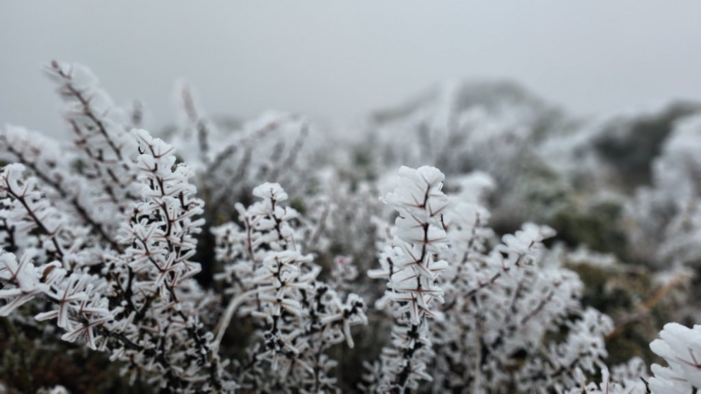 112.3.13～3.14 冰封奇萊主北_2074141