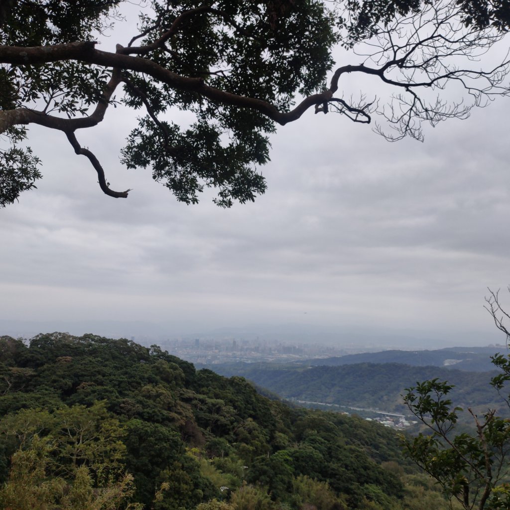 牛港稜山_2672446