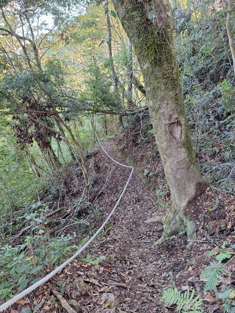 復興三尖之夫婦山+夫婦山西峰20241210_2667242