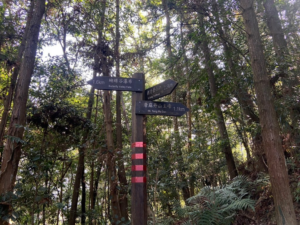 唐麻丹山-松鶴上三角點O型回松鶴_2378367