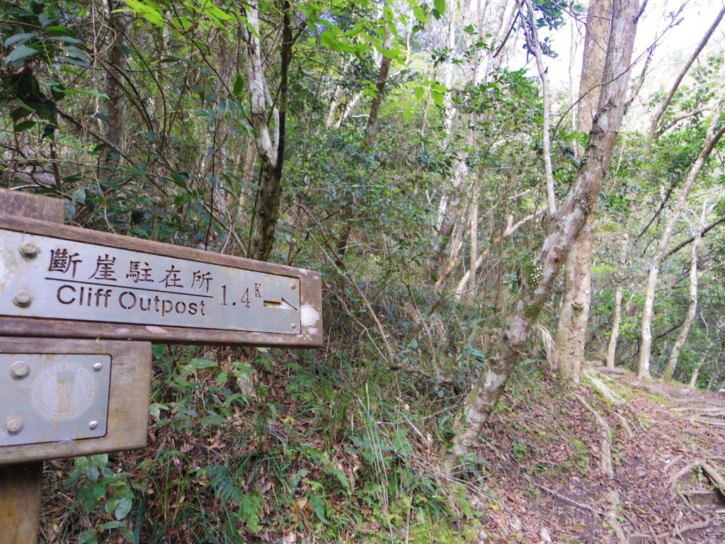 追憶 錐麓古道_2481981