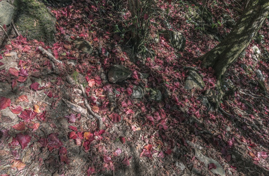 20221222稍來山_1964776