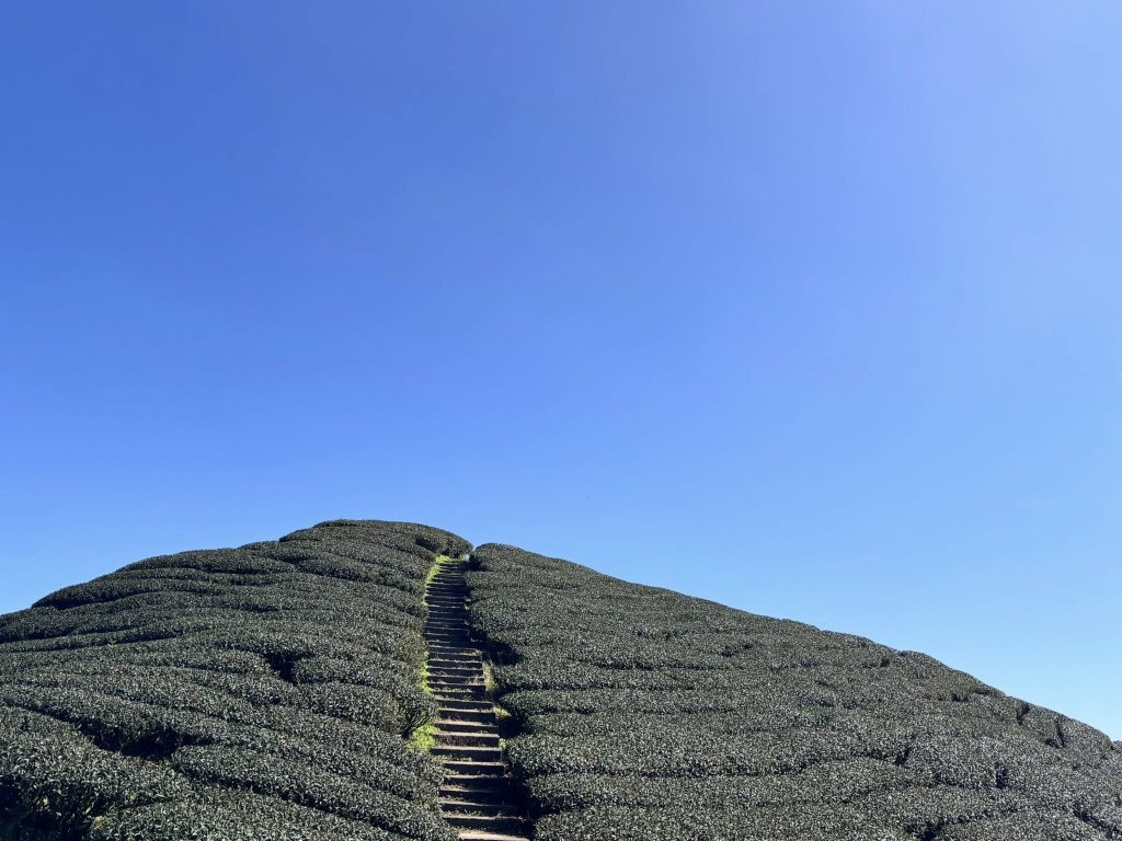 20250928雲嘉五連峰小O封面圖