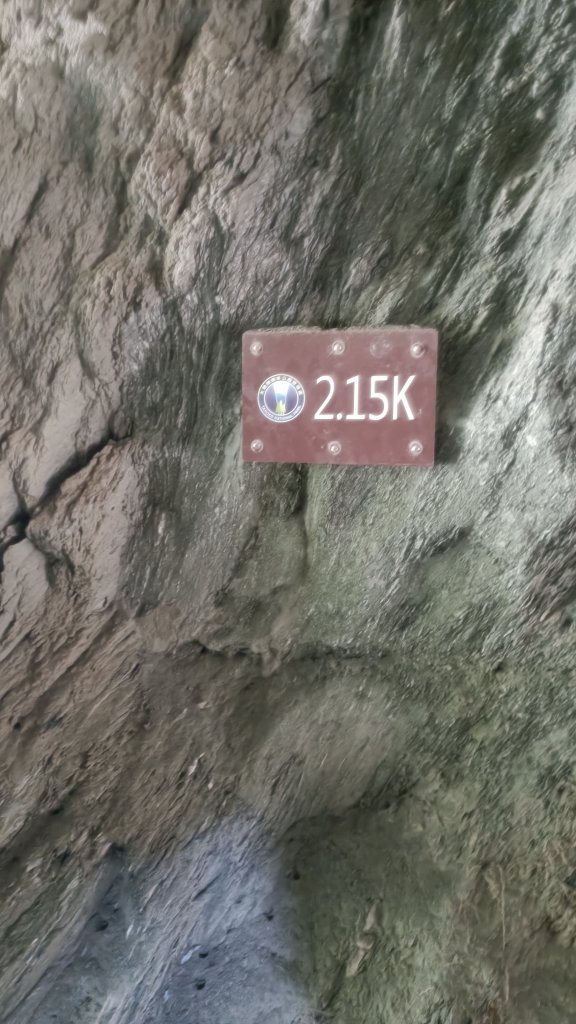 百大：白楊步道_1730133