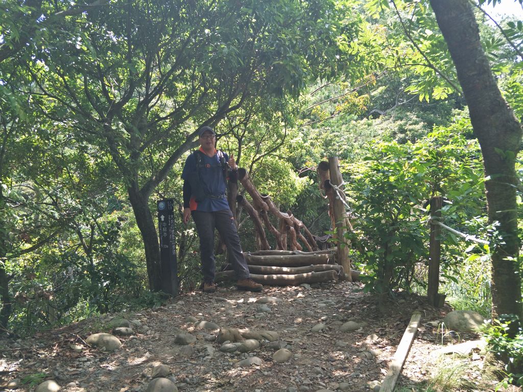 大坑4號步道&頭嵙山_374878