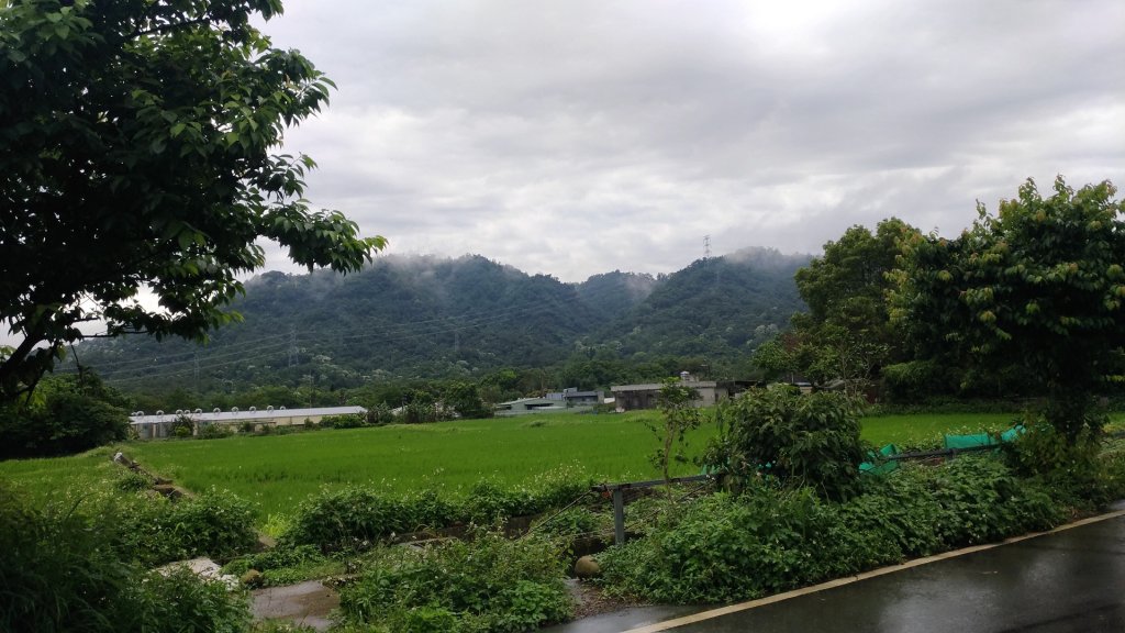 大艽芎古道-溪洲山-頭寮山封面圖