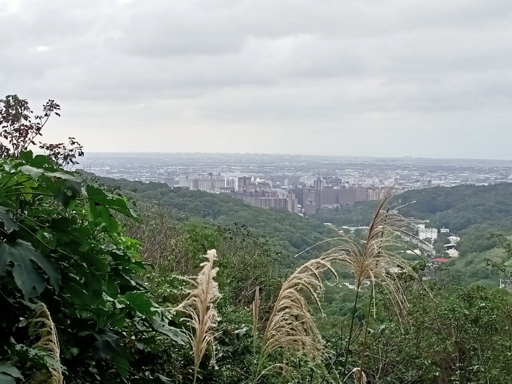 三訪桃園蘆竹羊稠森林步道【桃園-臺灣百大必訪步道】【南山神壽任務】_1942580