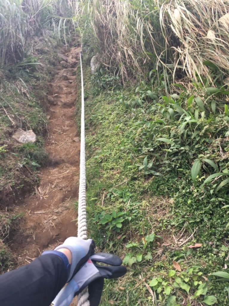 20200202_大屯山群峰_821880